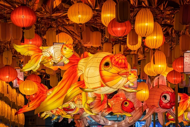 正佳广场赏鱼灯攻略-花瓣网
