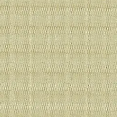 纯色壁纸 (633)