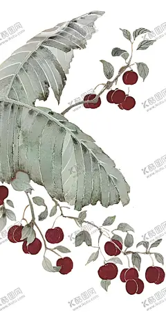 红了樱桃 【酷图网】樱桃,绿叶,芭蕉,手机,壁纸