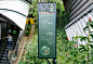 applied | Sentosa Island : Maximising the leisure experience