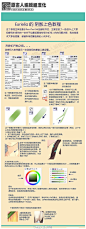 【SAI初学者向基础教程】Eurielia作品以及最新教程；5P：笔刷参数设定&透明色功能介绍；6P：皮肤的上色方法；7P：眼睛的上色步骤；8P：作出透明的布料效果；9P：绘制花纹图案的衣物。