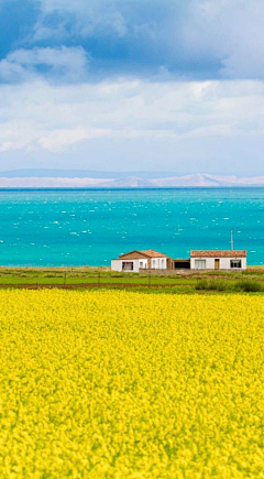 ounageou采集到场景