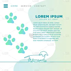 壁纸,模板,动物,蜘蛛网,图标,戒童,背景,可爱的,计划书