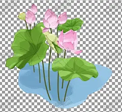 荷花 【酷图网】荷花,透明底荷花,荷花元素,手绘荷花,荷花素材,荷花装饰,手绘元素,手绘素材,手绘装饰,花朵,花朵素材,花朵装饰,鲜花,鲜花素材,青莲居士,植物素材,意境,荷叶,荷叶元素,荷叶素材,水墨荷花,中国风,中国画,透明底,免抠图,TIF,PNG,PSD,分层图,素材,设计,通道
