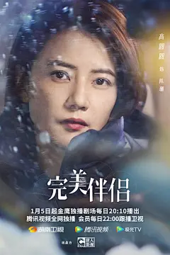 电视剧《完美伴侣》 开播 单人海报