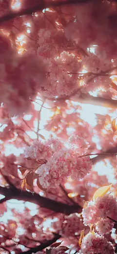@微末壁纸 的个人主页 - 微博