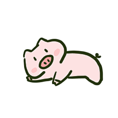 打滚的猪猪
