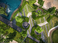 TreeLANDSCAPE采集到景观——方案篇