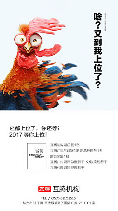 互腾HOTEN采集到HOTEN