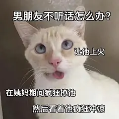 发给男朋友的表情包_02