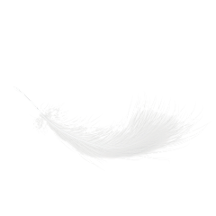 田七_Tki采集到素材