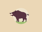 Wild Boar