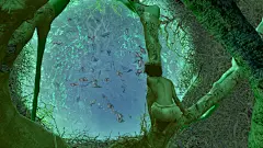 【少年派的奇幻漂流 Life of Pi (2012)】
苏拉·沙玛 Suraj Sharma
#电影场景# #电影海报# #电影截图# #电影剧照#