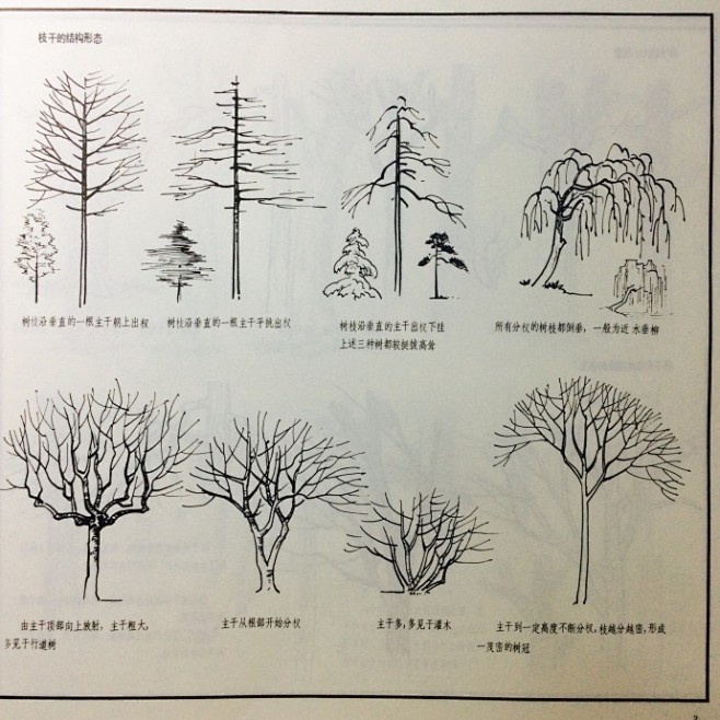 树木植物的画法，出自《建筑画环境表现与技...