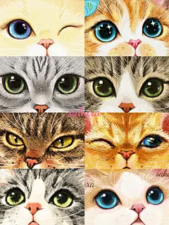 Procreate手绘猫猫眼合集✨ - 小红书