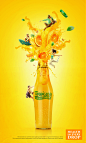 TROPICANA JUICE CAMPAIGN on Behance