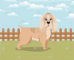 可爱的,狗,宠物,纯种犬,公园,自然美,小的,露营,爱