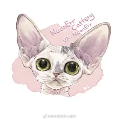 德文卷毛猫系列~ by@绵羊有好多小猫咪

#喵星人##插画# ​​​​