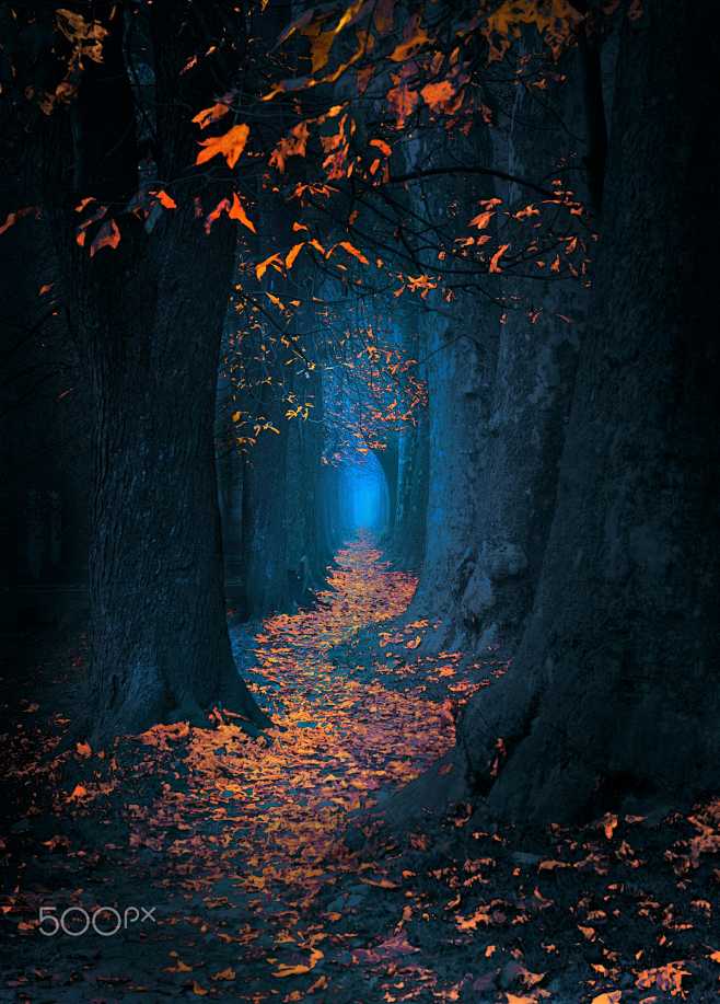 " Fairytale Pathway ...