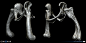 phil-liu-bone5-pelvic-copy-2