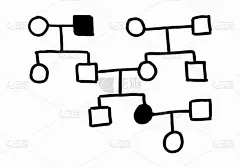 轮廓,白色,生物学,男人,几何形状,家庭,遗传研究,图像,阴谋,生病