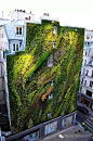 改变城市的植物墙