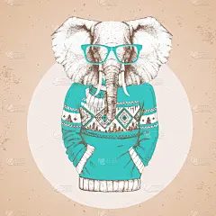 毛衣,象,动物,时尚,潮人,可爱的,野生动物,肖像,长牙,复古