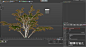 我在c4d里面用的森林插件为什么有些树木的树叶没有显示? - 知乎 : 预设里面的树木图片是有叶子的但是用了以后只有光秃秃的树干