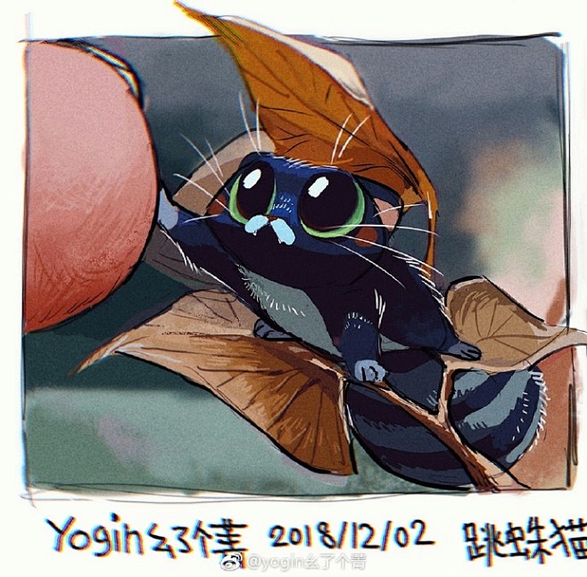 蛛蛛猫～（其实就是我自己养的跳蛛拟猫啦。...