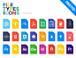 File Types Icons Set.