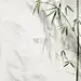 中国风通用古风绿植元素背景绿色竹子图片素材