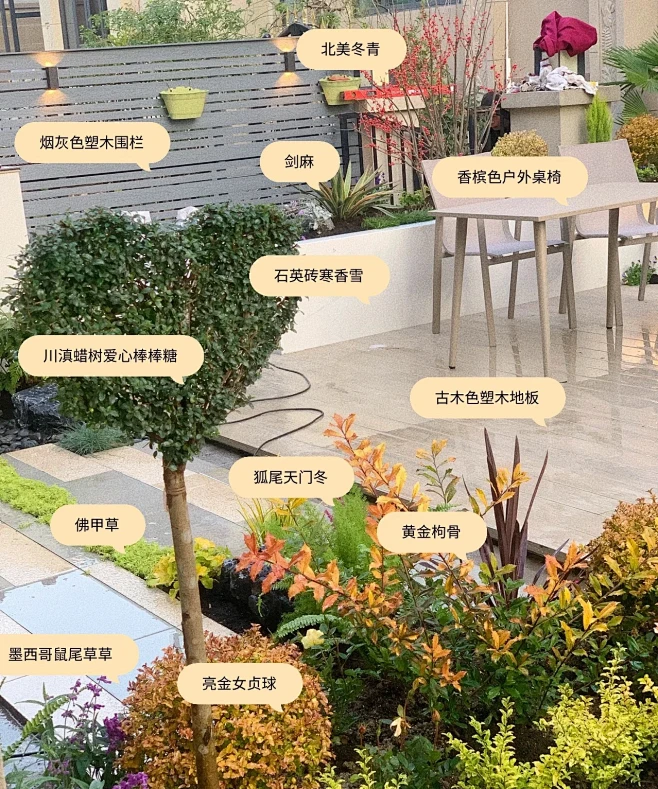 植物配置实景 (6)-花瓣网