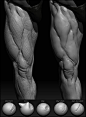 178_tid_Tip 3 LN Modeling.jpg: Anatomy Reference, Legs Reference, 3D Character, Legs Muscled, Zbrush Tutorials, Anatomy For Sculptors, 3D Tutorials