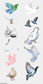 源文件-动物 鸽子 水彩 白鸽 鸟类 鸽子元素 信鸽 PNG免扣设计素材