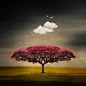 redbubble:

"Medusa Cloud" by Philippe Sainte-Laudy
card, print, poster on Redbubble
