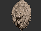 lion face, Aniraiden Wu : Just a practise have no time to finish long ago, and the last one is a joke