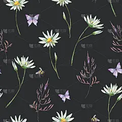 水彩夏季洋甘菊草甸花朵无缝图案