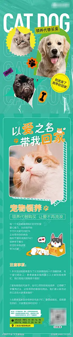 宠物领养海报_源文件下载_AI格式_1080X4929像素-活动,长图,海报,公益,爱心,领养,宠物-作品编号:2024112113218863-志设-zs9.com