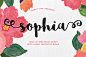 Free download: Sophia – Free Handlettered Brush Script Font - MightyDeals