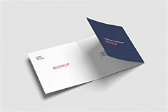 云汇素材官方采集到样机Mockups