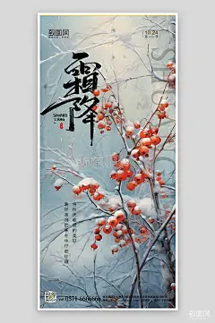 传统节气霜降柿子手绘手机海报