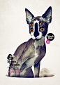 动物艺术海报设计欣赏 - 海报设计 - 设计帝国