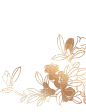 ab2ec06aaac681c5aa9790fa4037dab7
