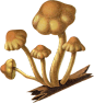 美式复古怀旧人物植物风景古董撕纸艺术拼贴剪贴画PNG免抠图素材