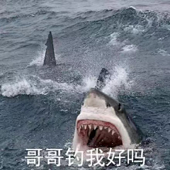 我是白粥粥采集到？？？