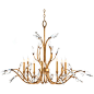 John Richard 29"H 8 Light Diaphanous Chandelier