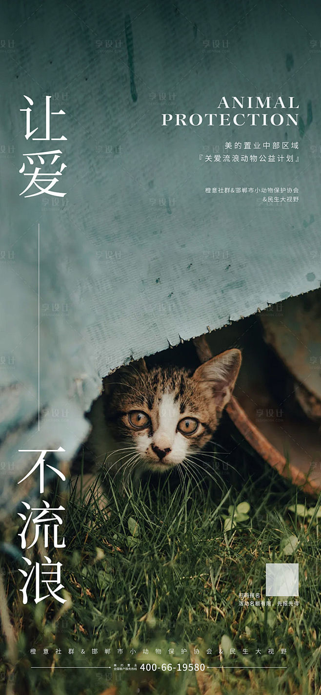 流浪猫公益海报-素材库-sucai1.cn