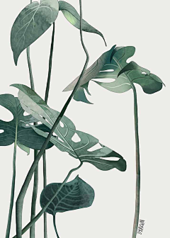 豆得儿采集到花花水果 蔬菜