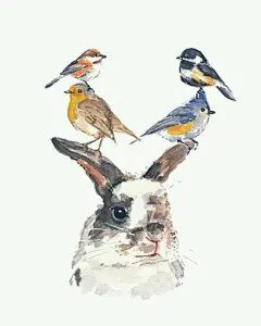 【M-G】森系插画_看图_森女吧_百度贴吧