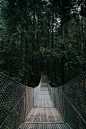 gray and brown hanging bridge on between trees at daytime